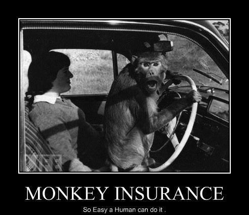 monkey travel insurance